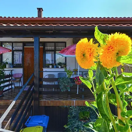 Gasthof Veli Vrh 2208 Pula