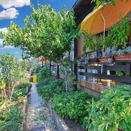 Guest house Veli Vrh 2208 *