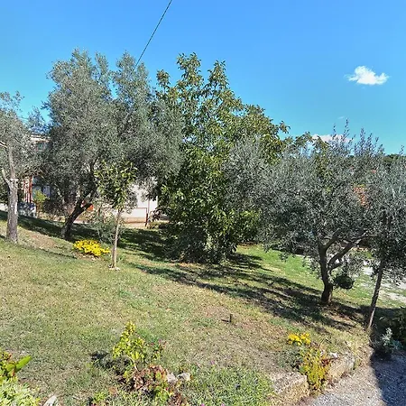 Veli Vrh 2208 Pula